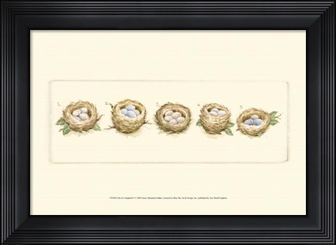 Framed Life of a Songbird V Print