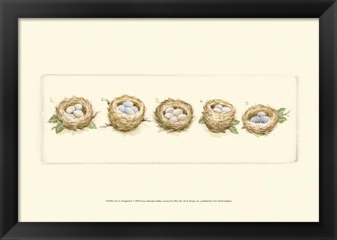 Framed Life of a Songbird V Print