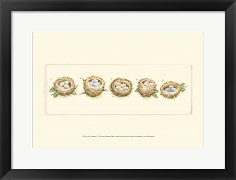 Framed Life of a Songbird V Print