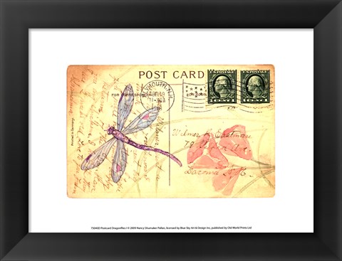 Framed Postcard Dragonfly I Print