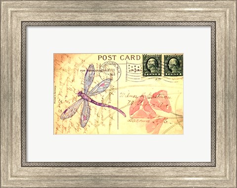 Framed Postcard Dragonfly I Print