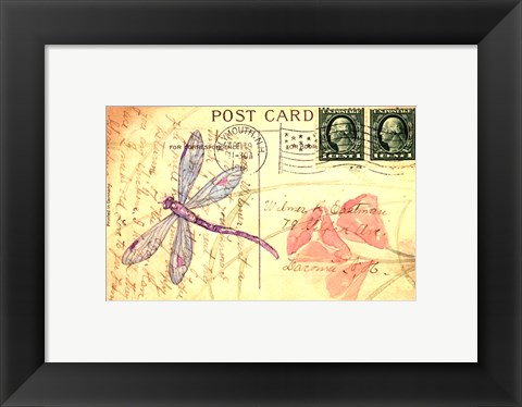 Framed Postcard Dragonfly I Print