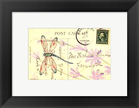 Framed Postcard Dragonfly III Print