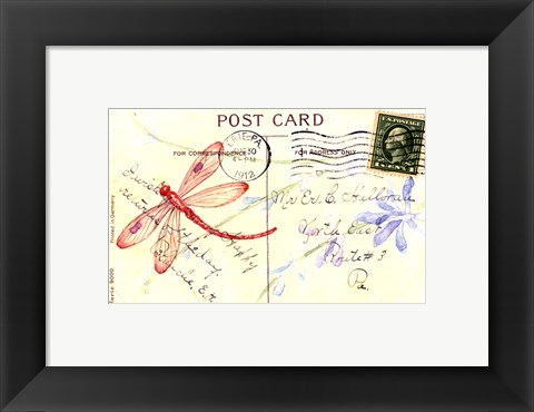 Framed Postcard Dragonfly IV Print