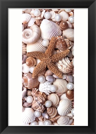 Framed Shell Menagerie II Print