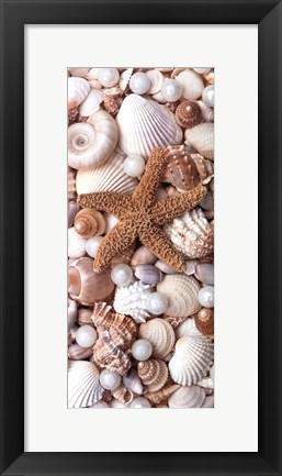 Framed Shell Menagerie II Print