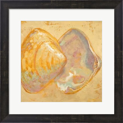 Framed Shoreline Shells II Print