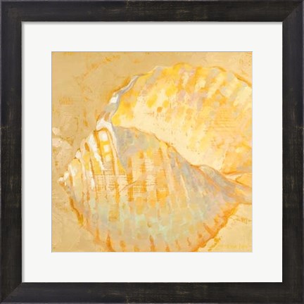 Framed Shoreline Shells IV Print
