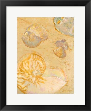 Framed Shoreline Shells VI Print