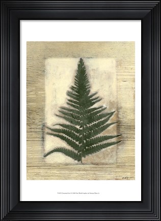 Framed Texturized Fern I Print