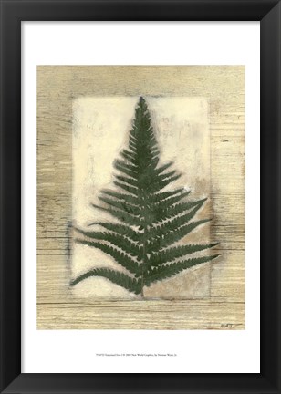 Framed Texturized Fern I Print