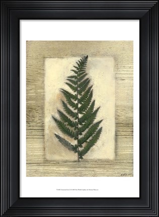 Framed Texturized Fern II Print