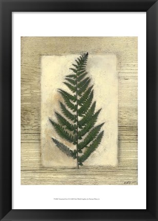 Framed Texturized Fern II Print