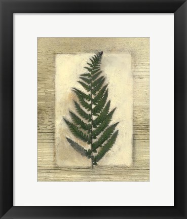 Framed Texturized Fern II Print