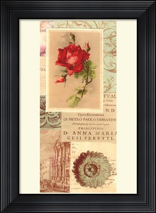 Framed Vintage Rose Panel II Print