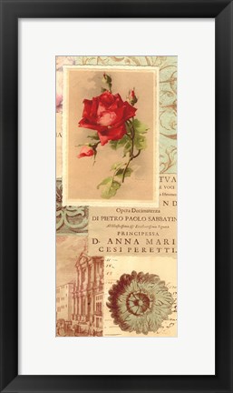 Framed Vintage Rose Panel II Print