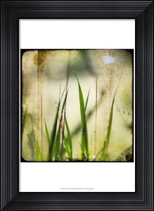 Framed Green II Print