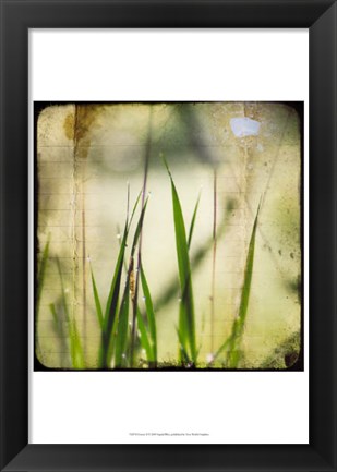 Framed Green II Print