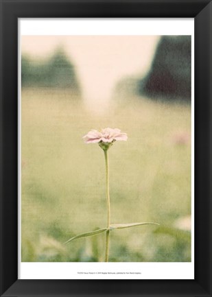 Framed Flower Portrait II Print