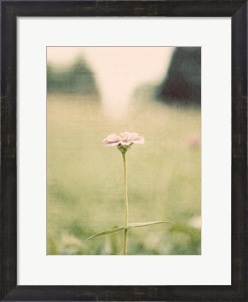 Framed Flower Portrait II Print