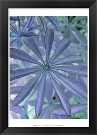Framed Woodland Plants in Blue I Print