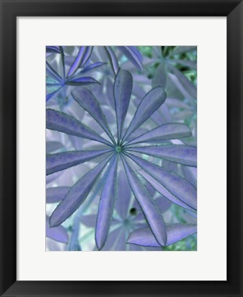 Framed Woodland Plants in Blue I Print