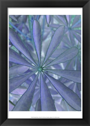 Framed Woodland Plants in Blue II Print