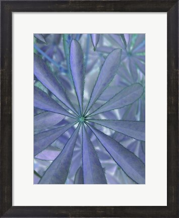 Framed Woodland Plants in Blue II Print