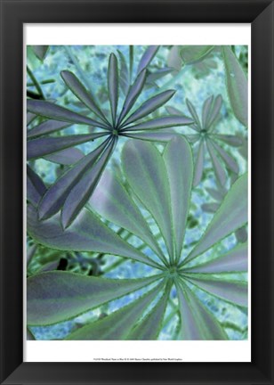 Framed Woodland Plants in Blue III Print