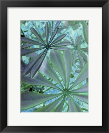 Framed Woodland Plants in Blue III Print