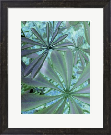 Framed Woodland Plants in Blue III Print