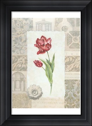 Framed Victorian Tulip I Print
