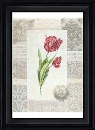 Framed Victorian Tulip II Print