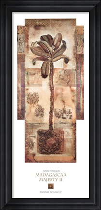 Framed Madagascar Majesty II Print