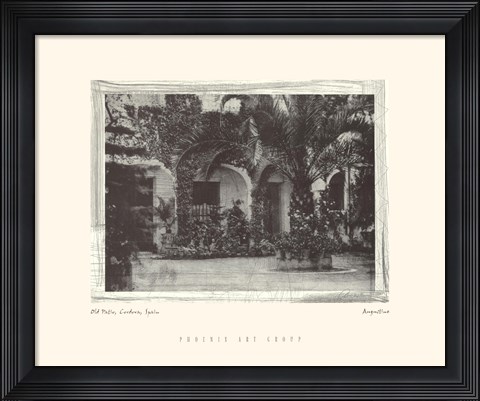 Framed Old Patio, Cordova, Spain Print