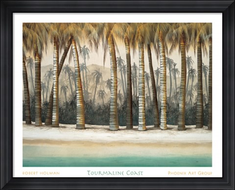 Framed Tourmaline Coast Print