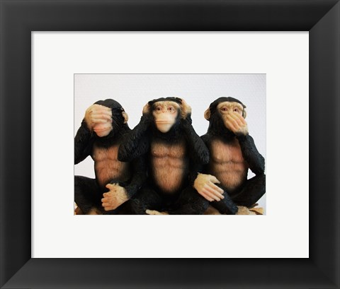 Framed Monkeys - See No Evil, Hear No Evil, Speak No Evil Print