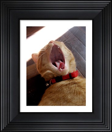 Framed Yawn! Print