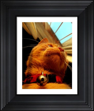 Framed Mr. Jingles Print