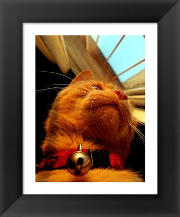 Framed Mr. Jingles Print