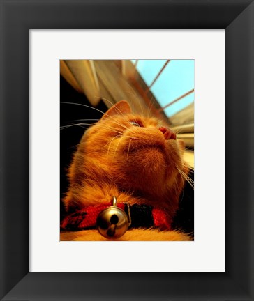 Framed Mr. Jingles Print
