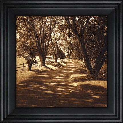 Framed Ash Lawn II Print