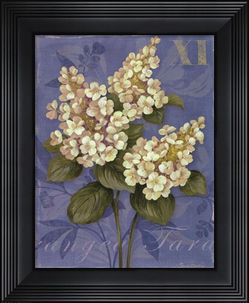 Framed Tardiva Hydrangea- mini Print