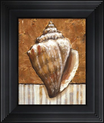 Framed Vintage Shell II - mini Print