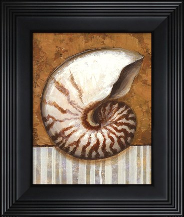 Framed Vintage Shell I - mini Print
