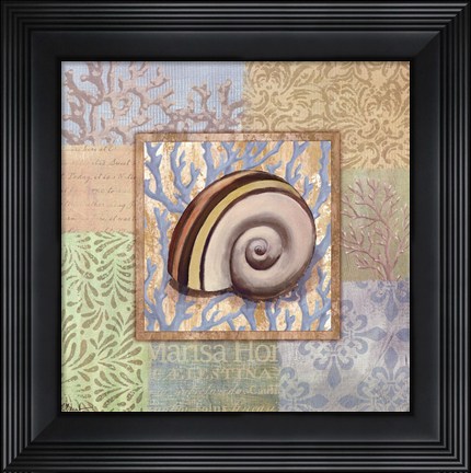 Framed Oceanic Shell Collage IV Print