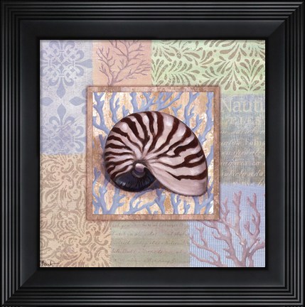 Framed Oceanic Shell Collage III Print