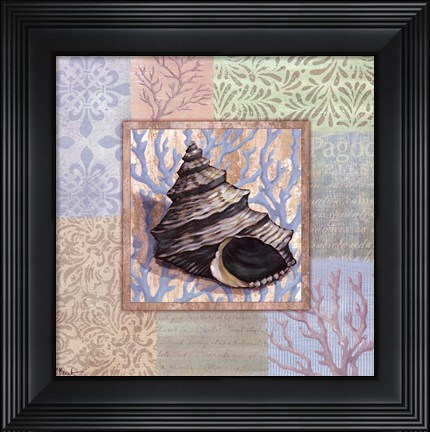 Framed Oceanic Shell Collage II Print
