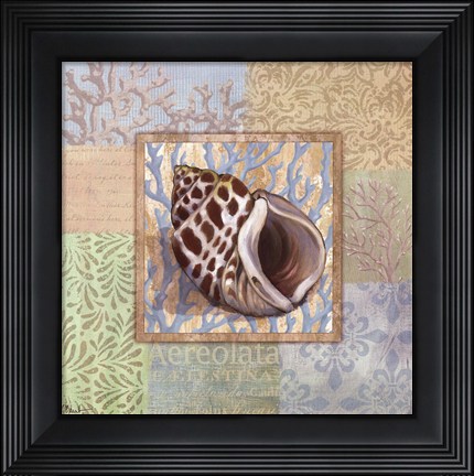 Framed Oceanic Shell Collage I Print