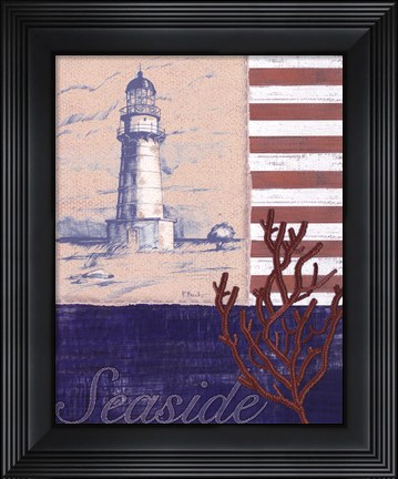 Framed American Coastal II Print